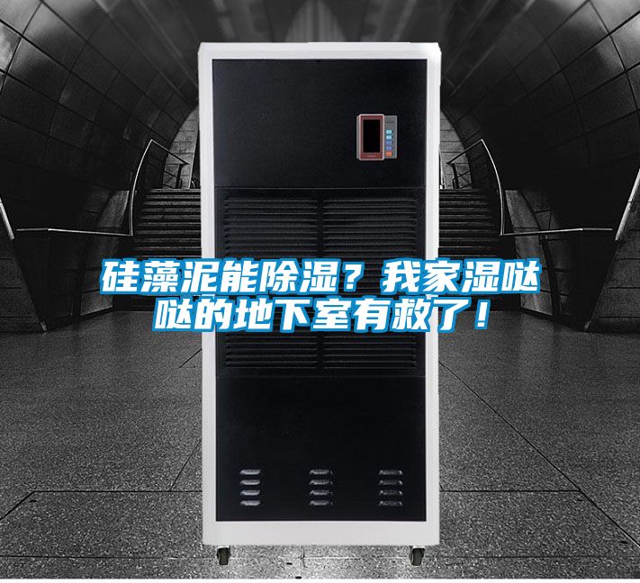 硅藻泥能除濕？我家濕噠噠的地下室有救了！