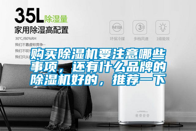 購(gòu)買除濕機(jī)要注意哪些事項(xiàng)，還有什么品牌的除濕機(jī)好的，推薦一下