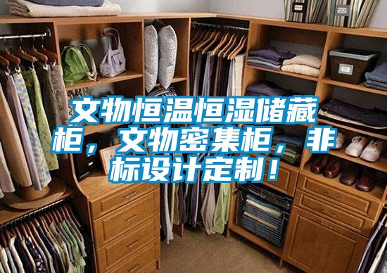 文物恒溫恒濕儲(chǔ)藏柜，文物密集柜，非標(biāo)設(shè)計(jì)定制！