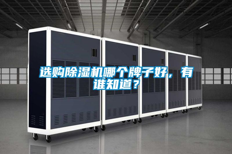 選購(gòu)除濕機(jī)哪個(gè)牌子好，有誰(shuí)知道？