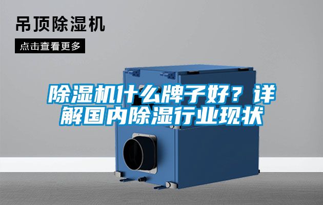 除濕機什么牌子好？詳解國內除濕行業現狀