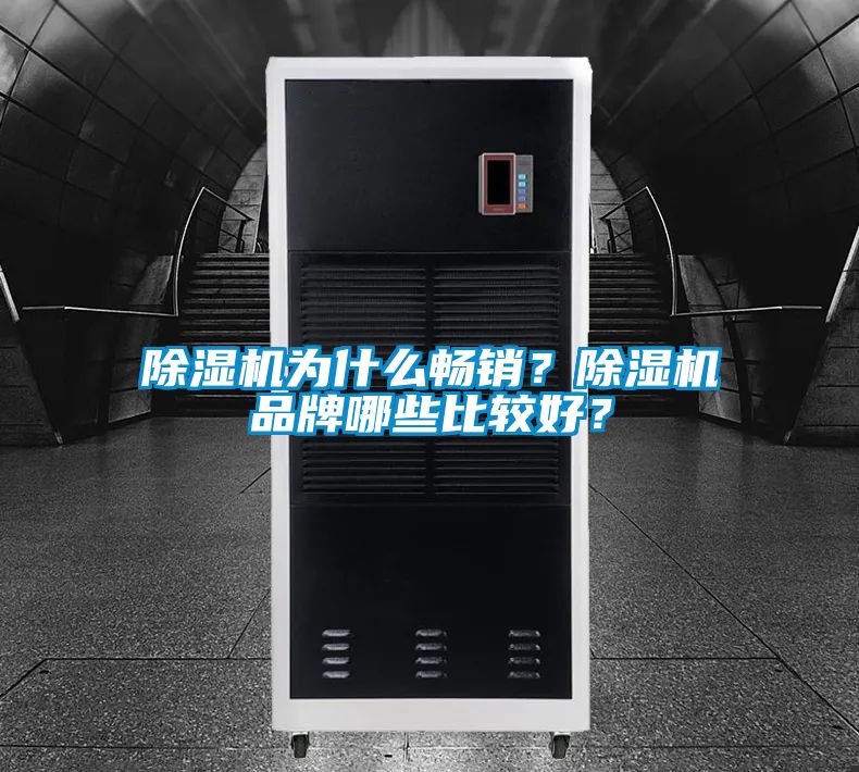 除濕機(jī)為什么暢銷?除濕機(jī)品牌哪些比較好?
