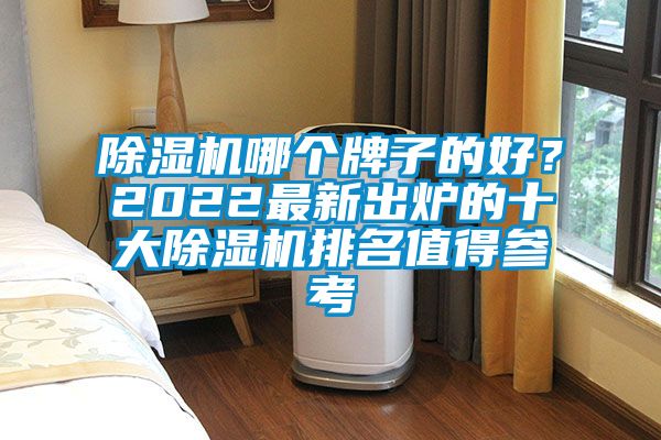 除濕機哪個牌子的好？2022最新出爐的十大除濕機排名值得參考