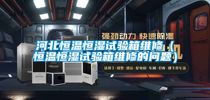 河北恒溫恒濕試驗箱維修(恒溫恒濕試驗箱維修的問題)