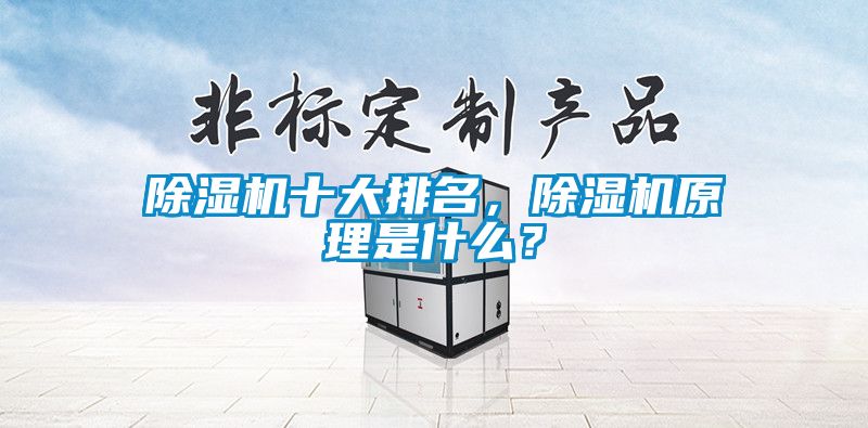 除濕機(jī)十大排名,除濕機(jī)原理是什么?