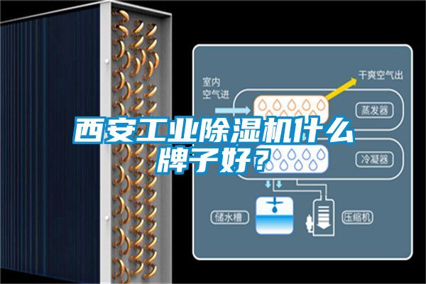 西安工業(yè)除濕機什么牌子好?