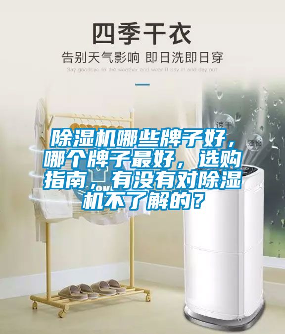 除濕機(jī)哪些牌子好,哪個(gè)牌子最好,選購指南,有沒有對除濕機(jī)不了解的?