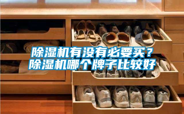 除濕機有沒有必要買？除濕機哪個牌子比較好
