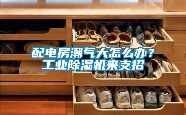 配電房潮氣大怎么辦?工業除濕機來支招