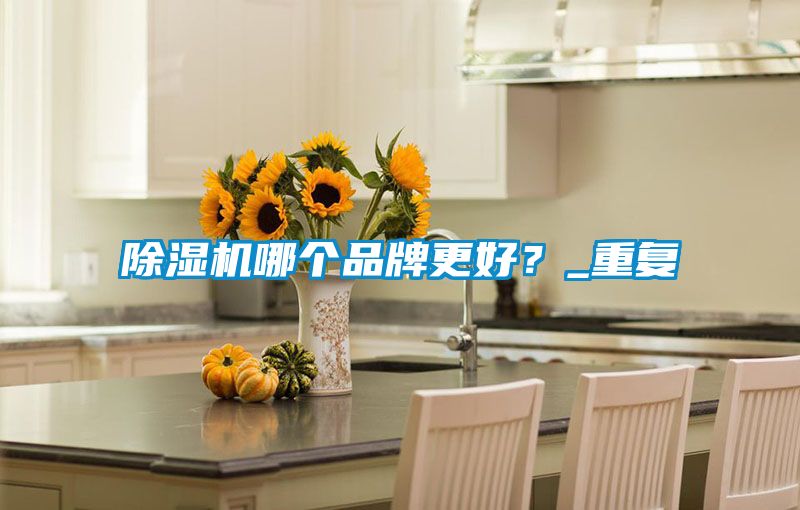 除濕機哪個品牌更好？_重復