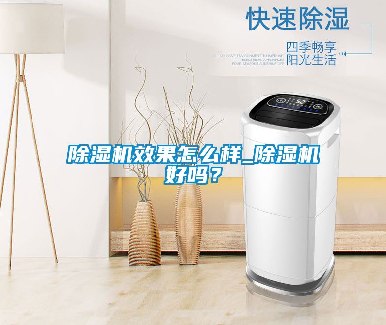 除濕機(jī)效果怎么樣_除濕機(jī)好嗎？