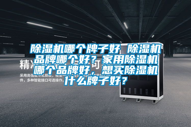 除濕機哪個牌子好 除濕機品牌哪個好?家用除濕機哪個品牌好,想買除濕機什么牌子好?