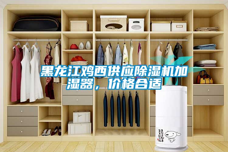黑龍江雞西供應(yīng)除濕機(jī)加濕器,價(jià)格合適