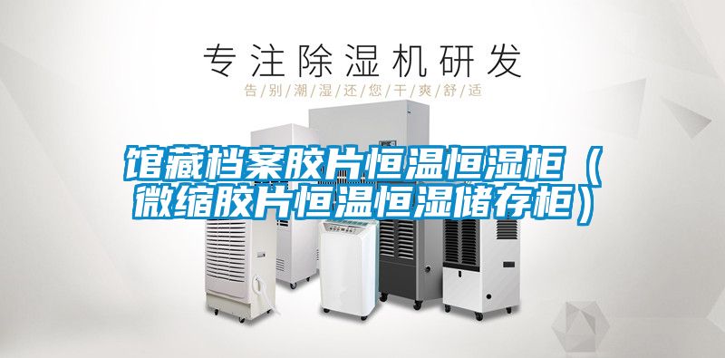 館藏檔案膠片恒溫恒濕柜(微縮膠片恒溫恒濕儲(chǔ)存柜)